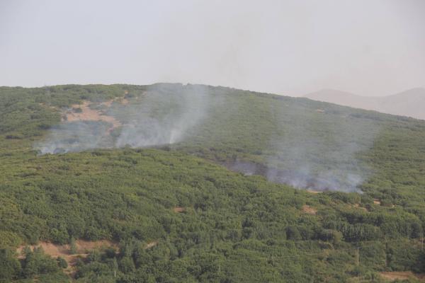 Tatvan’da PKK'ya hava destekli operasyon